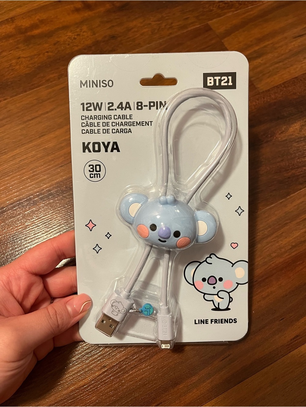 NWT Koya BT21 Line Friends Miniso 30 cm Charging Cable
